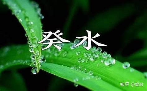 壬癸水|癸水壬水子水亥水区别